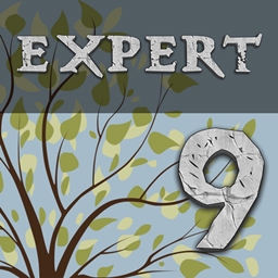Logo du modpack Enigmatica 9: Expert - E9E