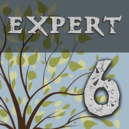 Logo modpacka Enigmatica 6: Expert - E6E