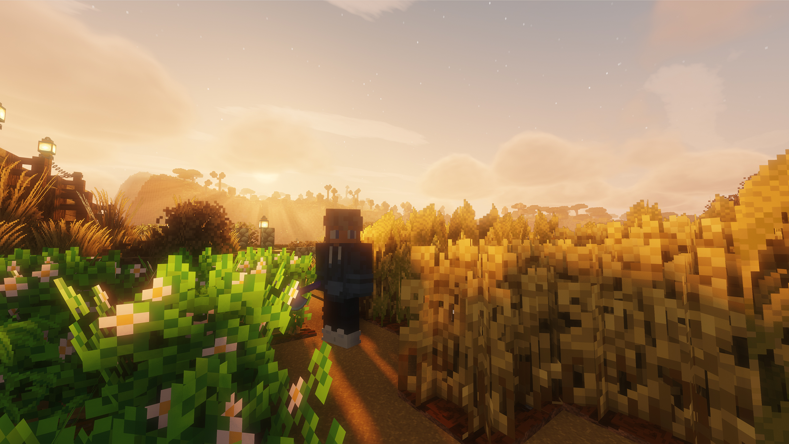 Screenshot des Modpacks VaniX (3/3)