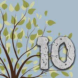 Logo modpacka Enigmatica 10 - E10
